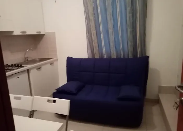 New Prophet * 카톨리카