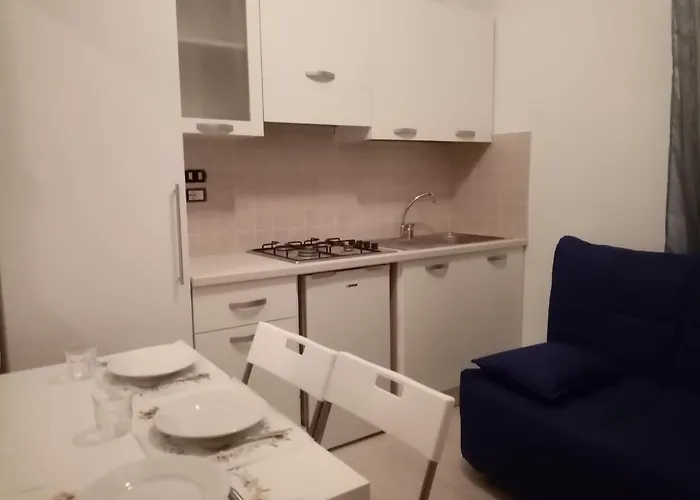 New Prophet 카톨리카