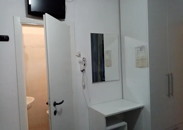 New Prophet 카톨리카