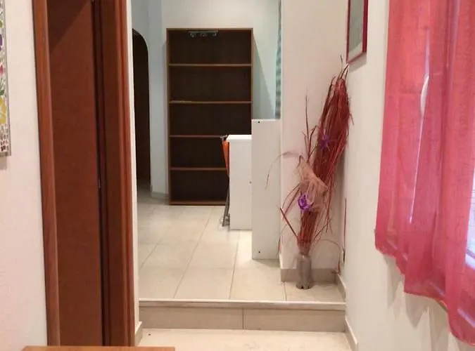 New Prophet Apartment Cattolica